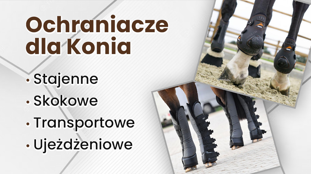 ochraniacze-dla-konia