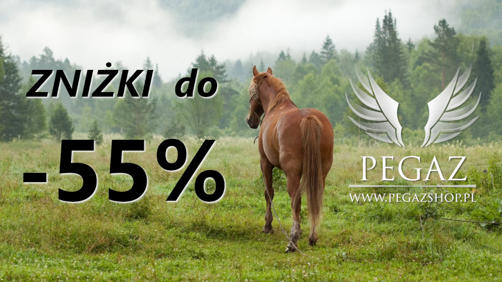 sklep-jezdziecki-promocje-znizki